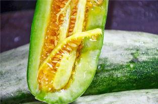 爱可可网红吃瓜图片大全,爱可可图片大全里的趣味时光 第3张 爱可可网红吃瓜图片大全,爱可可图片大全里的趣味时光 第3张